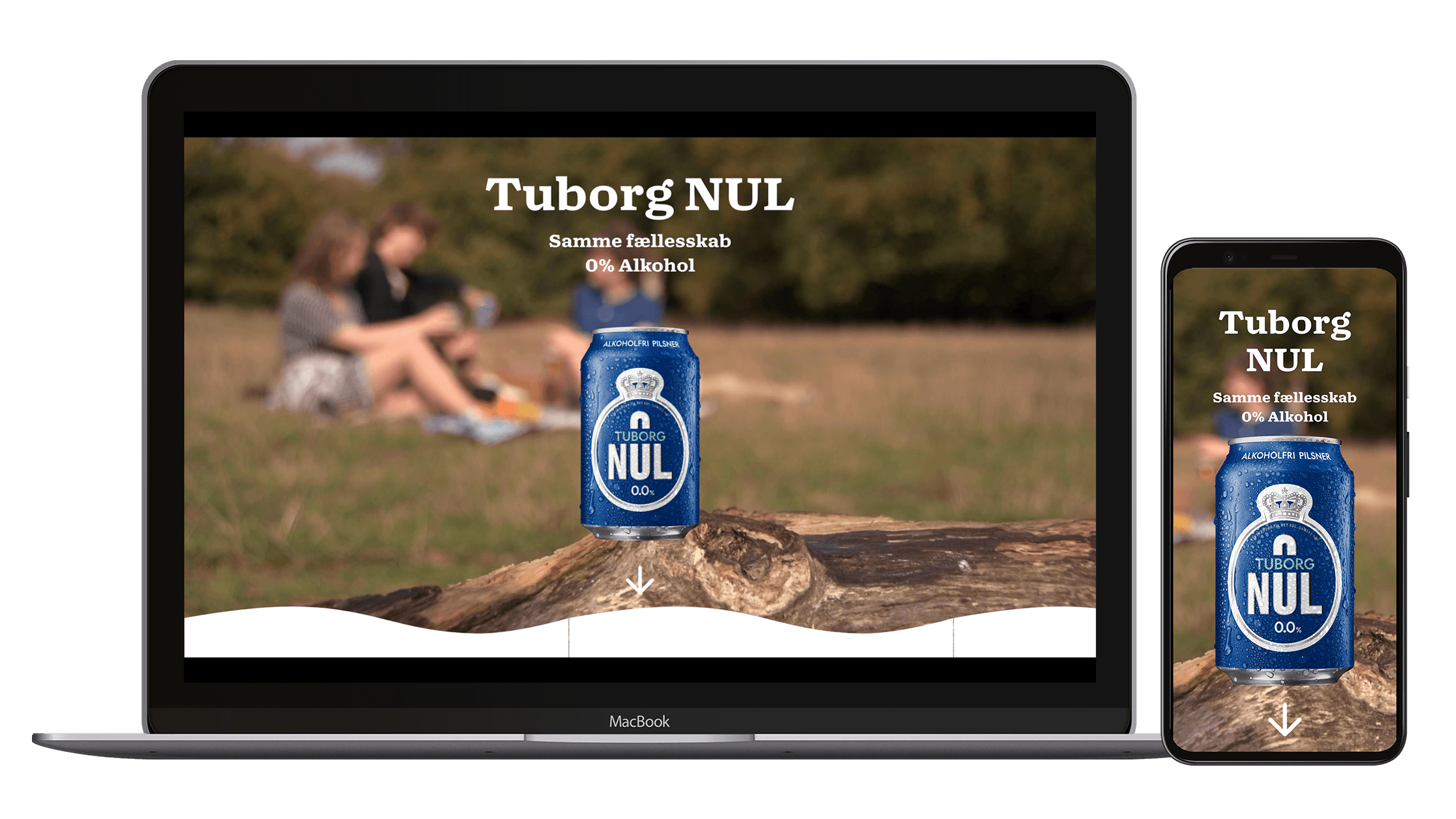 Mockup af projektet vist på både desktop og mobil