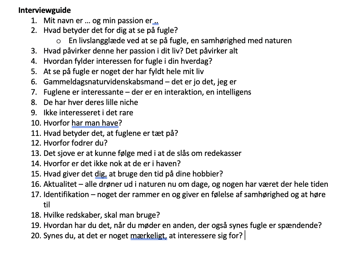 Interviewguide