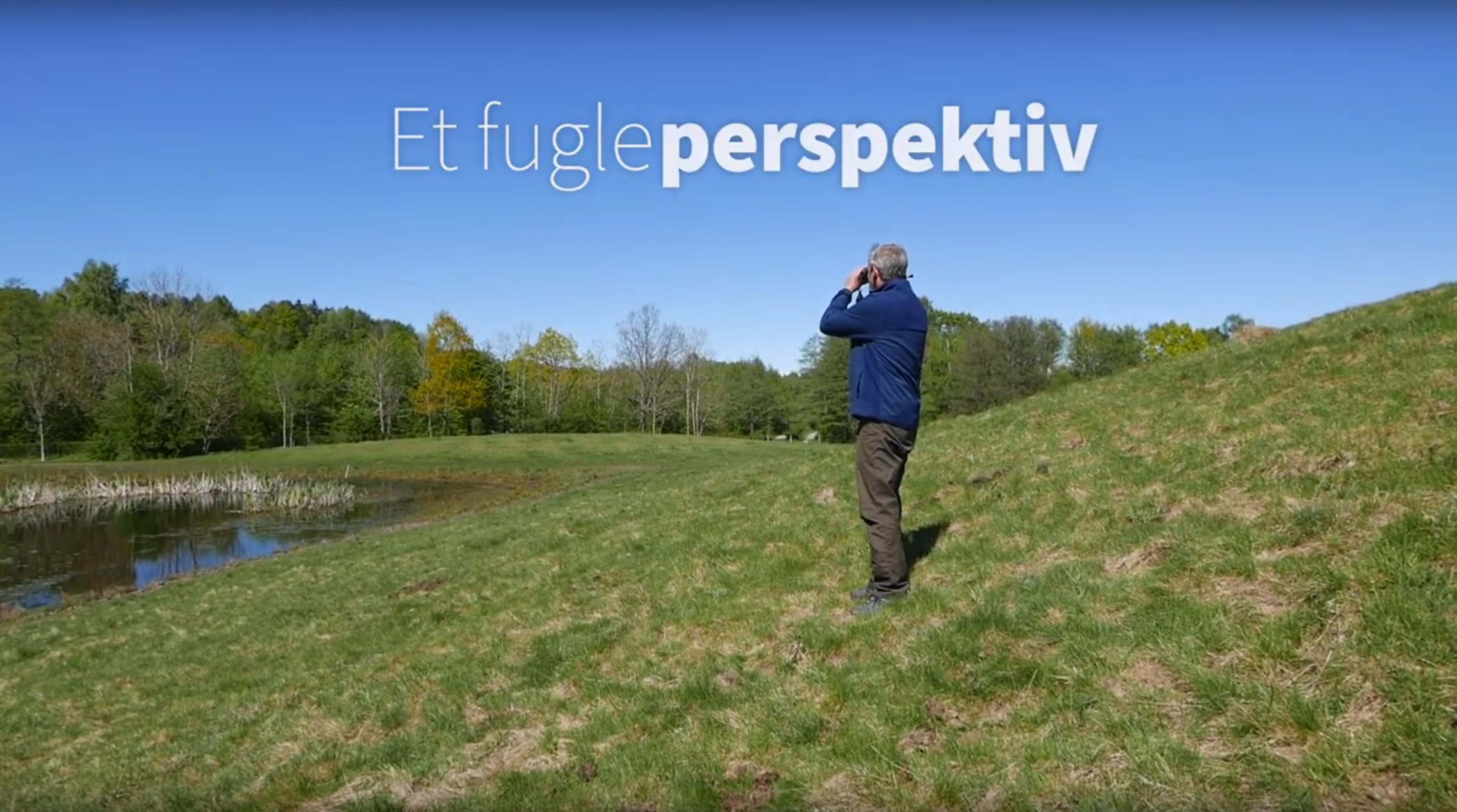 splashbillede til stilartside